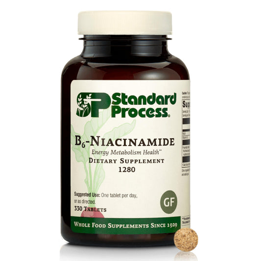 Front view of Standard Process B6-Niacinamide energy metabolism dietary supplement bottle