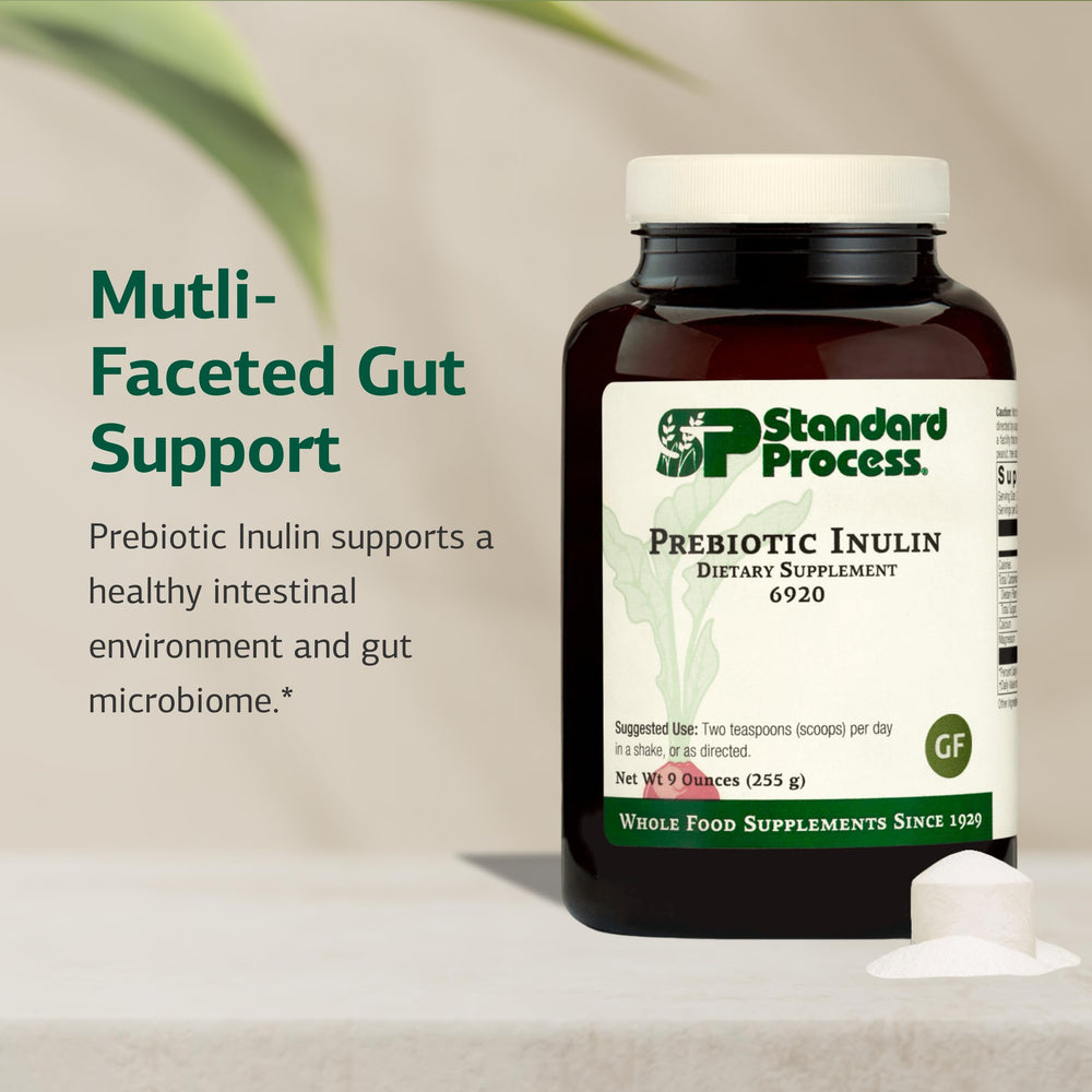 Graphic illustration highlighting gut health benefits of prebiotic inulin