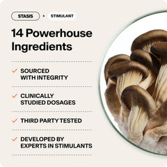 Brain and energy concept representing all-day focus