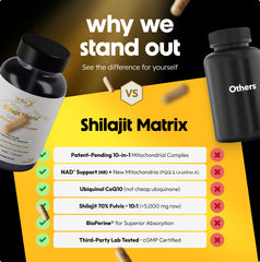 NR, PQQ and NAD+ boosters representing metabolic support