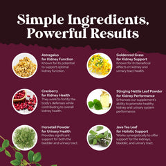 Stinging nettle and astragalus in kidney health blend
