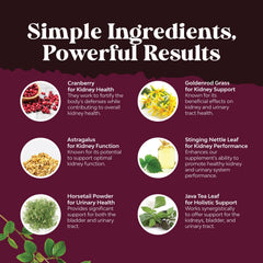 Stinging nettle herb ingredient