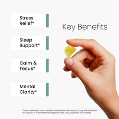 Close-up of L-Theanine 400mg and Magnesium Glycinate ingredients
