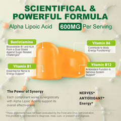 Supplement facts for ALA with Benfotiamine and B vitamins
