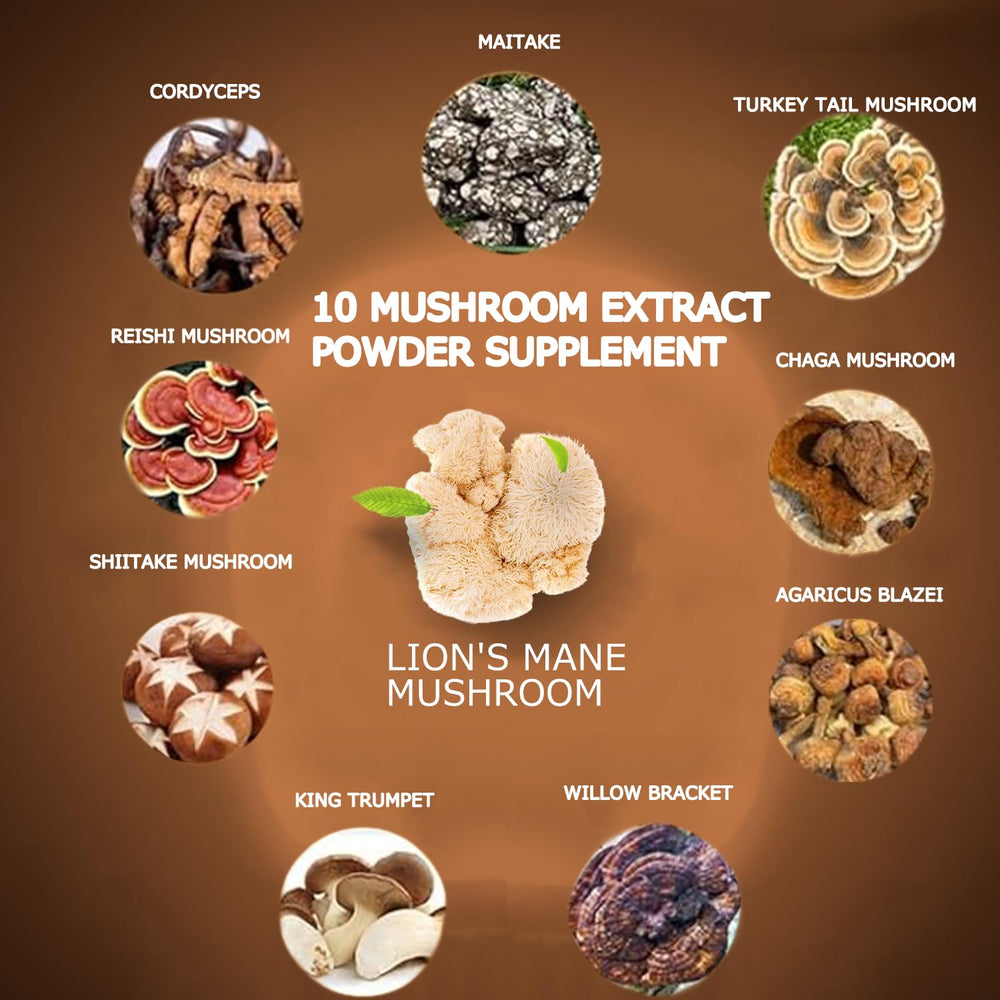 Brain-boosting mushroom coffee for energy, focus, and immunity