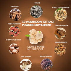 Brain-boosting mushroom coffee for energy, focus, and immunity