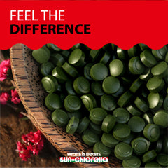 Fresh harvesting process illustration for Sun Chlorella