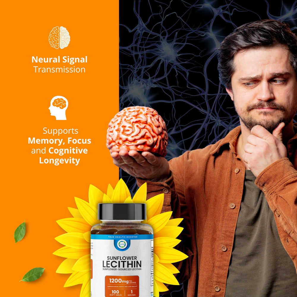 Brain health support graphic for sunflower lecithin