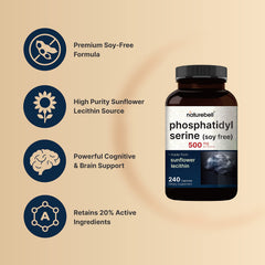 Sunflower lecithin source used for phosphatidylserine supplement.