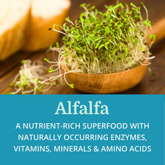 Alfalfa and Betaine HCl components in SuperDigest