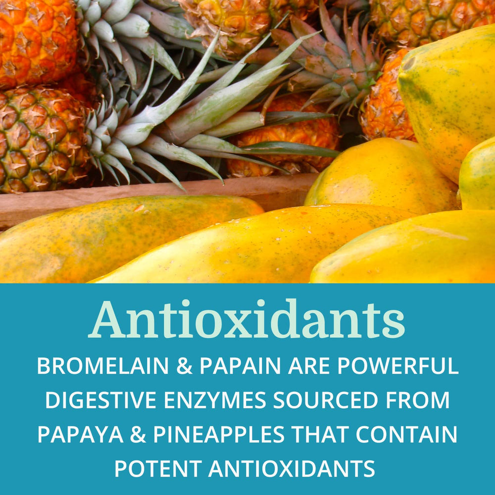 Lab ingredients of SuperDigest with enzymes and antioxidants