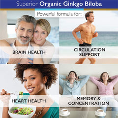 Ginkgo extract and ingredients illustration for SuperiorLabs product