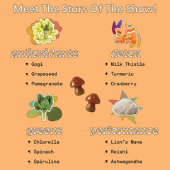 Illustration of Spirulina, Chlorella, Lion's Mane and Ashwagandha ingredients
