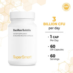 60 capsules count for Supersmart Bacillus subtilis probiotic