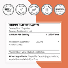 Close-up of Polypodium Leucotomos 4:1 leaf extract