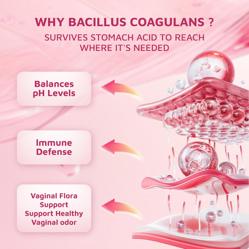 Illustration of Bacillus Coagulans probiotic ingredients