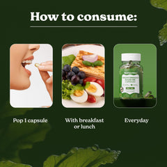 Sustainable, plant-based, non-GMO omega-3 source
