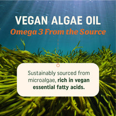 Sustainably sourced microalgae illustration