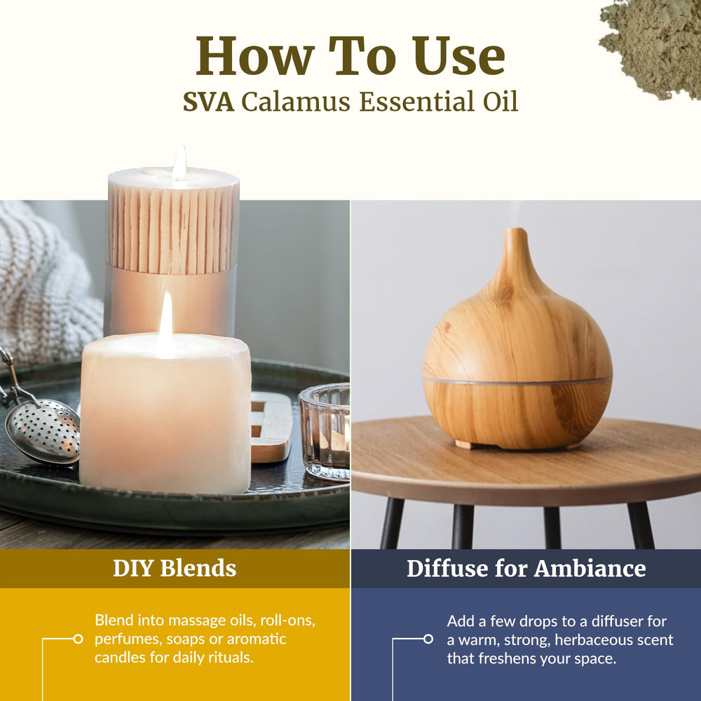 Calamus essential oil for soap making and candle crafting