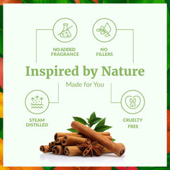 Close-up of dropper and cinnamon leaf essential oil