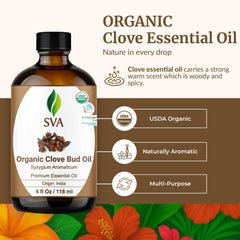 Clove Bud essential oil in diffuser for aromatherapy