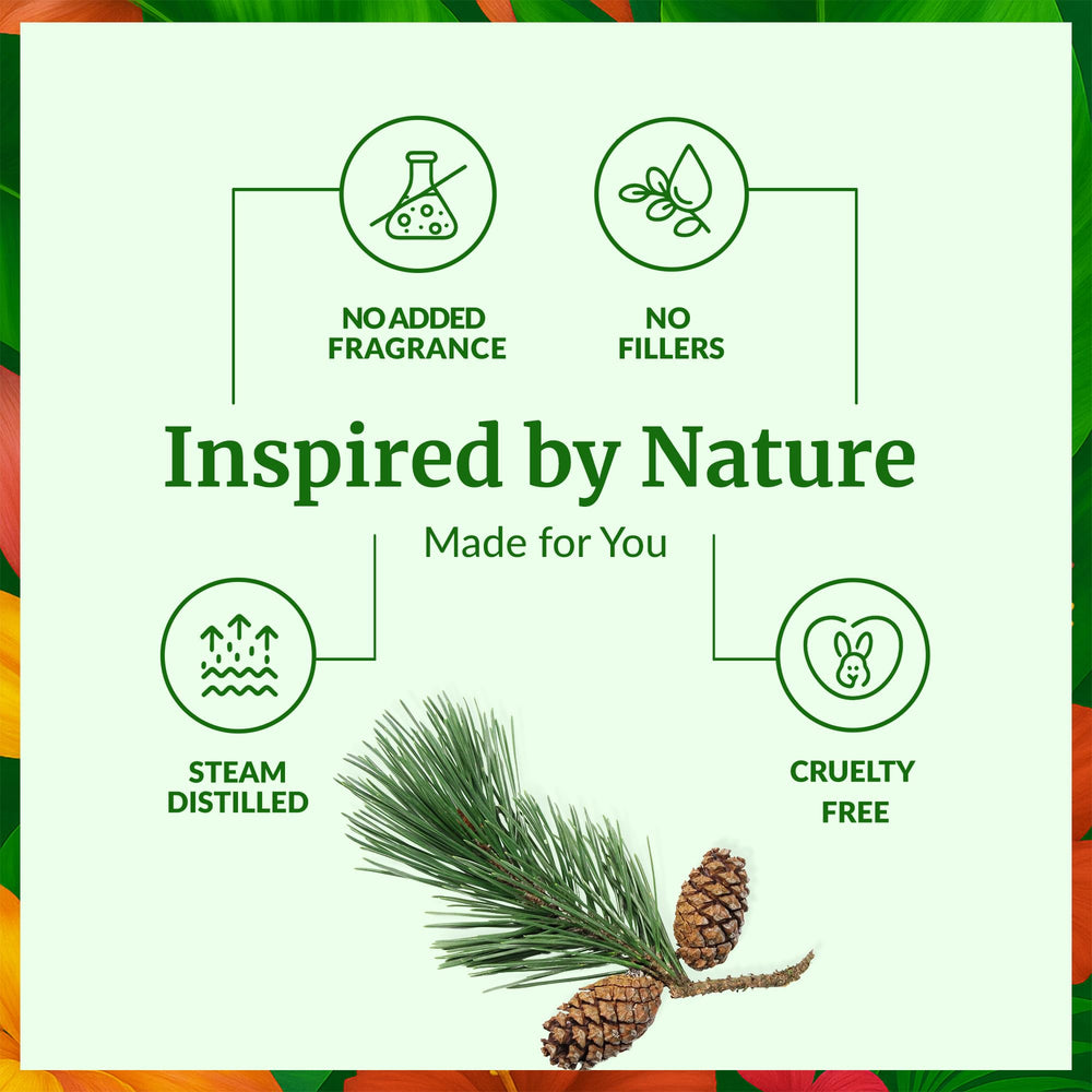 Close-up of Pine Needle Essential Oil droplets
