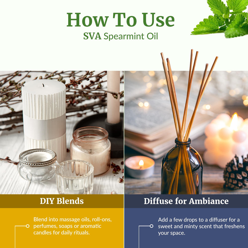 Spearmint essential oil diluted for skin and scalp care