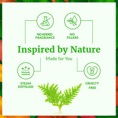 Thuja essential oil used for hair care