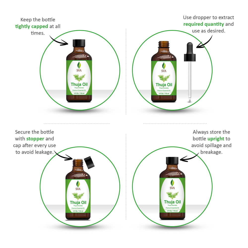 Steam-distilled Thuja Orientalis essential oil ingredients