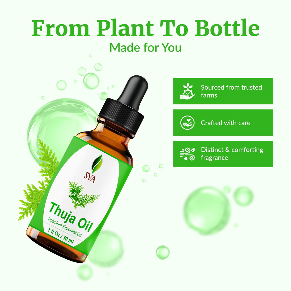 Thuja essential oil used for skin care