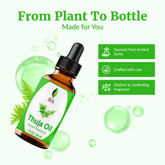 Thuja essential oil used for skin care