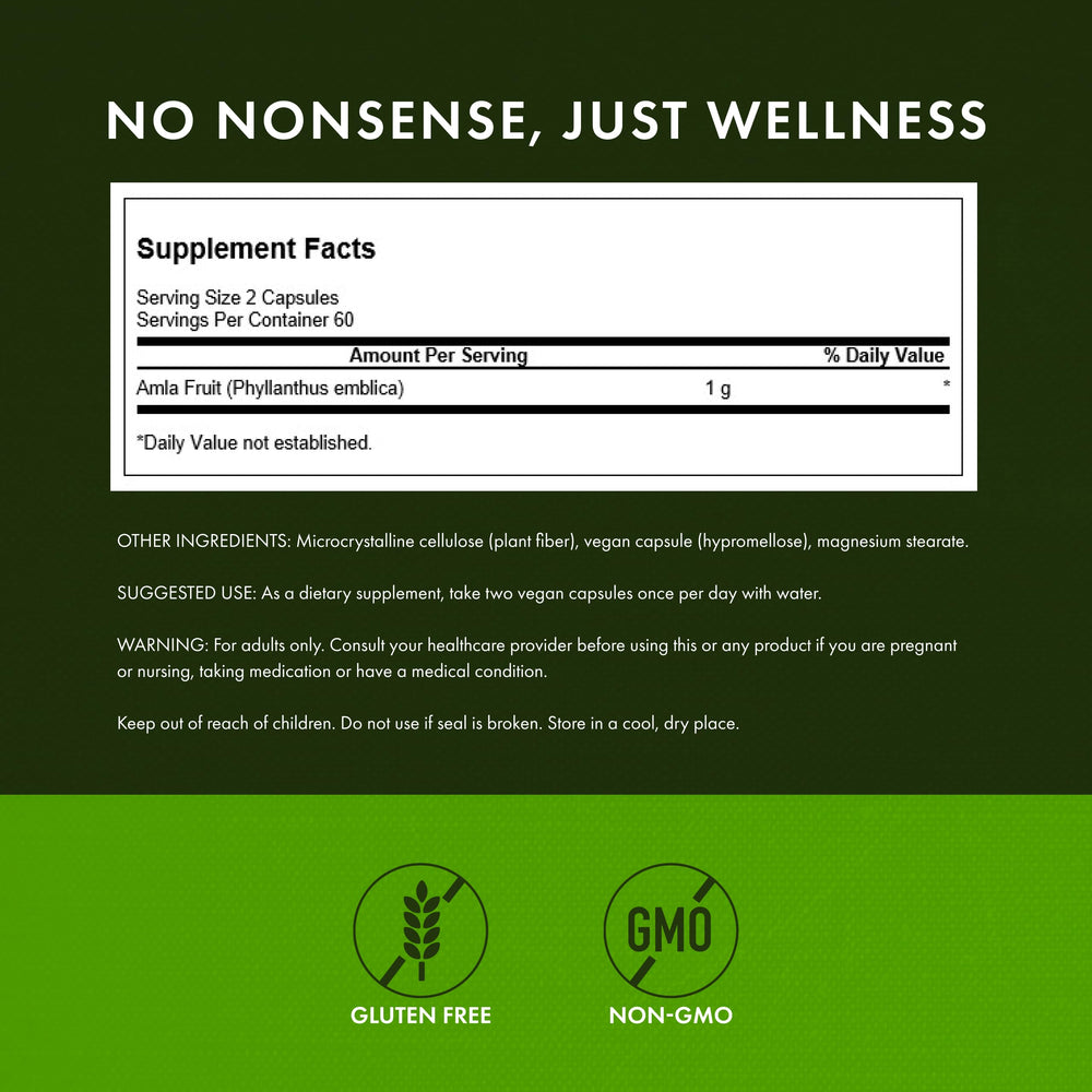 Ayurvedic Amla Fruit powder ingredient for supplement
