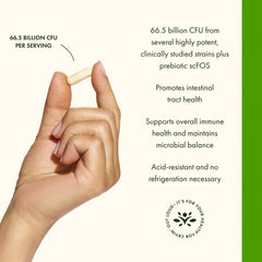 Probiotic formula supporting immune health