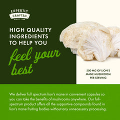 Two-pack Swanson Lion's Mane Full Spectrum product