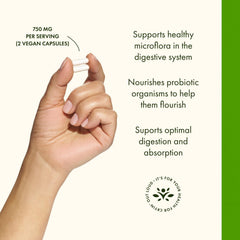 Ingredient panel for Swanson Prebiotic Capsules