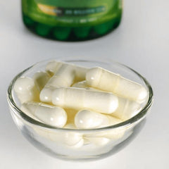 Illustration of digestive health and immune support