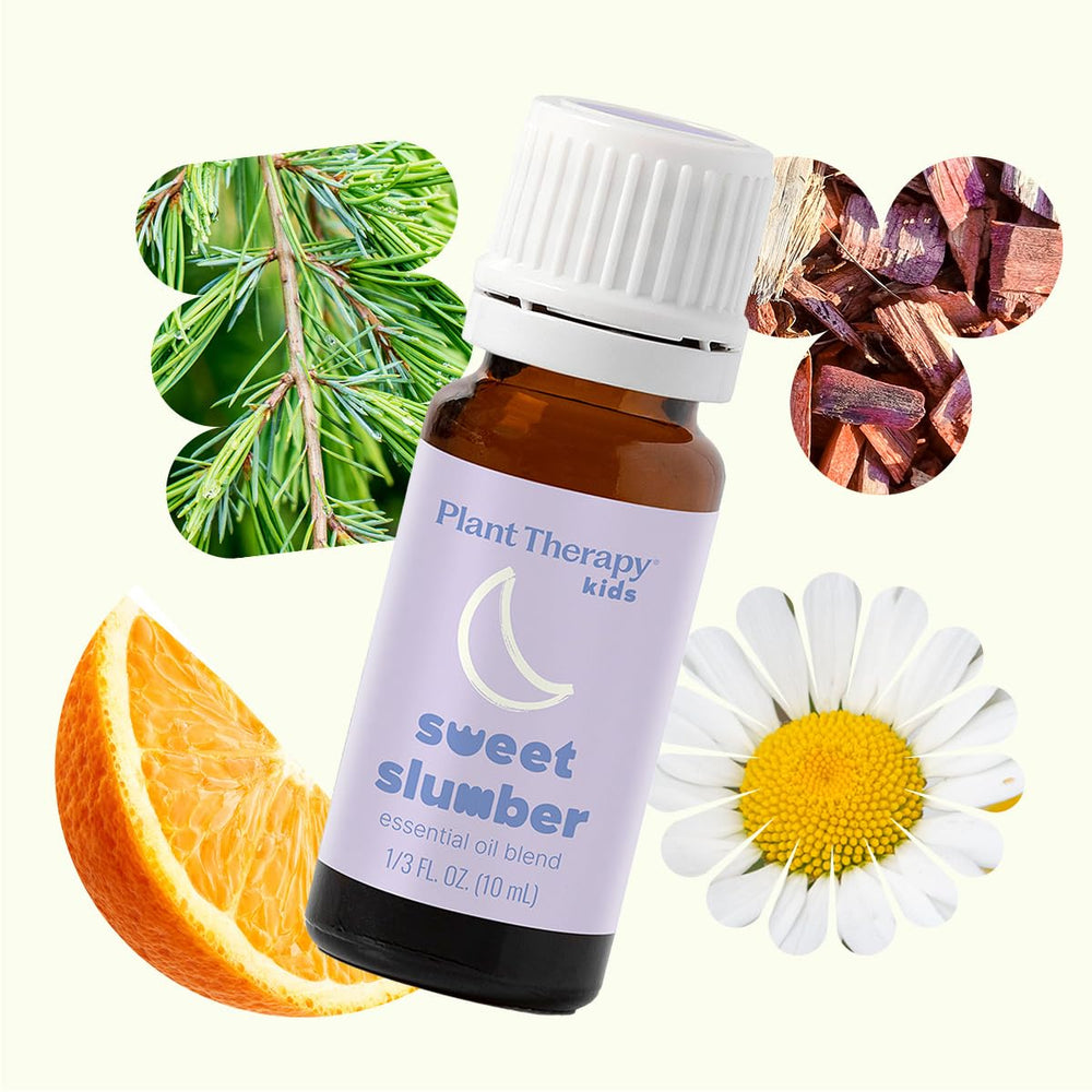 Close-up of Roman Chamomile and Vetiver in Sweet Slumber blend