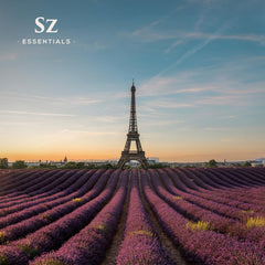 Diffuser scene featuring Grasse Lavender Essential Oil for aromatherapy