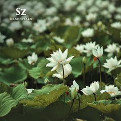 White Lotus oil bottle with label detail