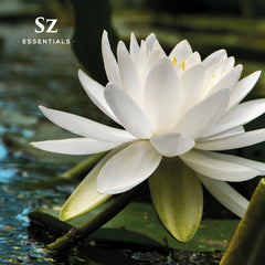 5ml bottle size of White Lotus oil