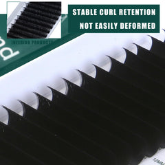 TAFFEAY matte black lash extensions with bold, natural finish.