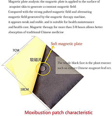 Packaging of TAI REN YI 60pcs Moxibustion Patches
