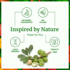 Calophyllum inophyllum fruits used to make Tamanu oil