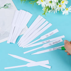 800-piece perfume test strips package