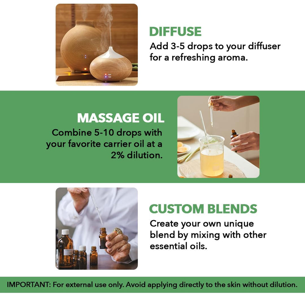 Amber bottle of Majestic Pure Tea Tree Oil with dropper (3.4 Fl Oz)