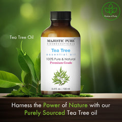 Tea tree essential oil ready for diffuser and aromatherapy use