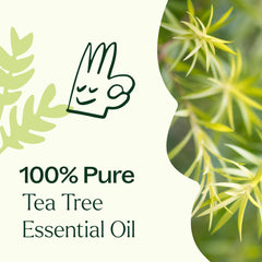 Tea Tree Oil used in a diffuser for aromatherapy