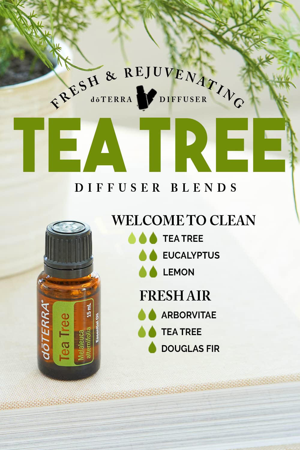Tea tree oil applied to skin for cleansing and purifying
