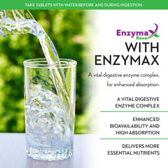 Digestive enzymes and metabolism support graphic