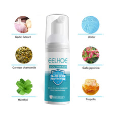 Illustration of plant extracts for Teeth Mouthwash Foam